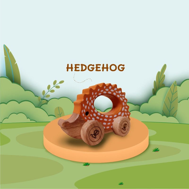 Push Along Car - Hedgehog (6-24 Months)