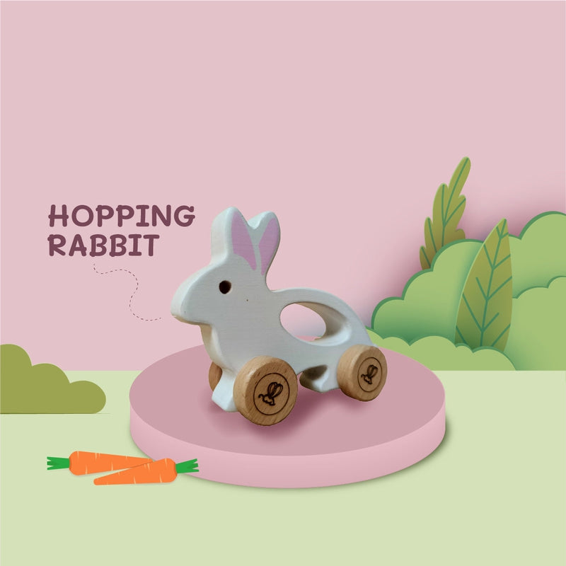 Push Along Car - Hopping Rabbit (6-24 Months)