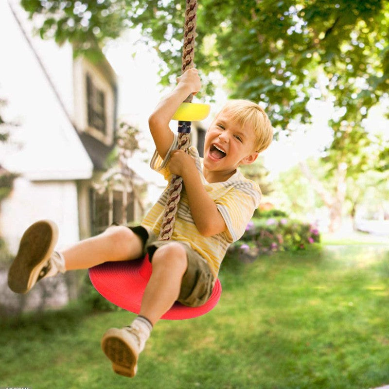 Platforms Disc Tree Swing Seat and Climbing Knot Rope with Carabiner Hook - Multicolour