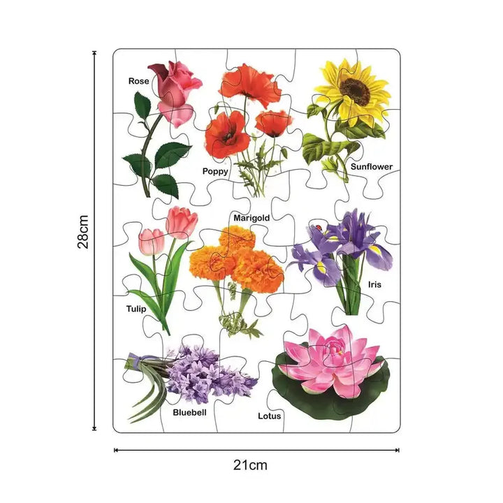 Ratna's Knowledge Bank Jigsaw Puzzle 2 | 8-in-1 Educational Jigsaw Puzzle