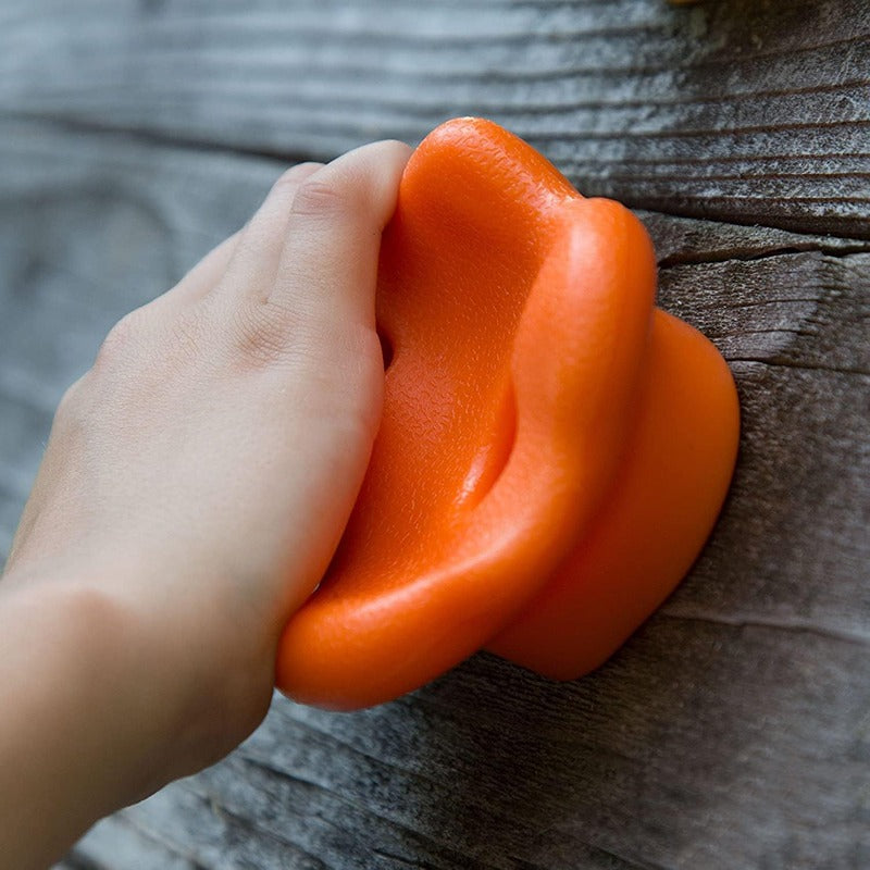 Hop N Play 24 Pieces DIY Wall Grips Rock Climbing Holds | Capacity - 120 Kgs
