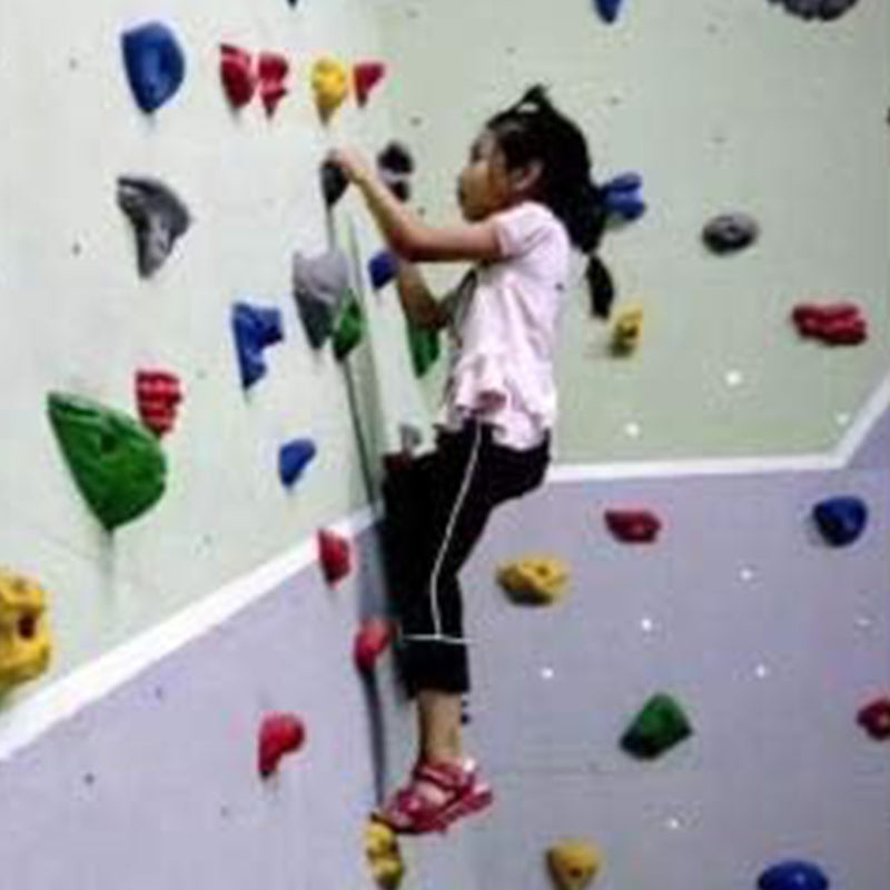 Hop N Play 20 Pieces Wall Climbing Holds with Installation Kit | Capacity-200 Kg