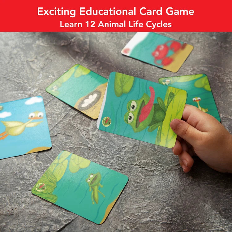 Chalk & Chuckles Stepping Stones Learning Game | Fun Educational Play