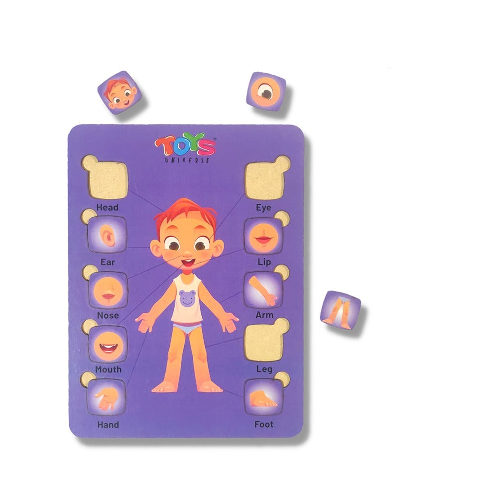 Wooden Colorful Body Parts Learning Educational Board with Knobs