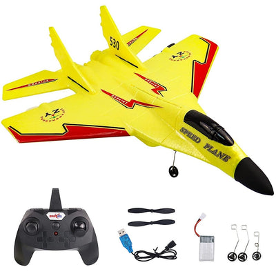 EPP Foam Jet Fighter Stunt RC Airplane with LED Light (Random Colour)