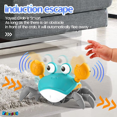 Crawling Crab Musical Toy with LED Lights & Rechargeable Battery