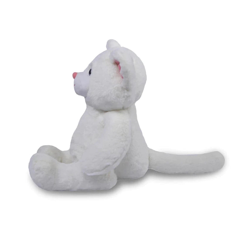 Daisy- The Snowy Cat  Fur White