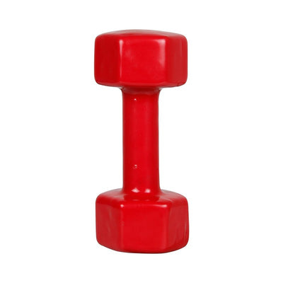 Diablo Dumbbells pair (5kg) | 11+Years