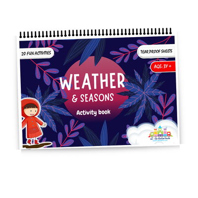 Weather And Seasons Busy Book