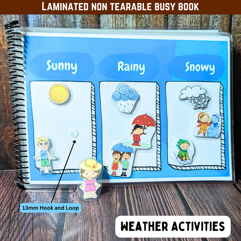 Weather And Seasons Busy Book