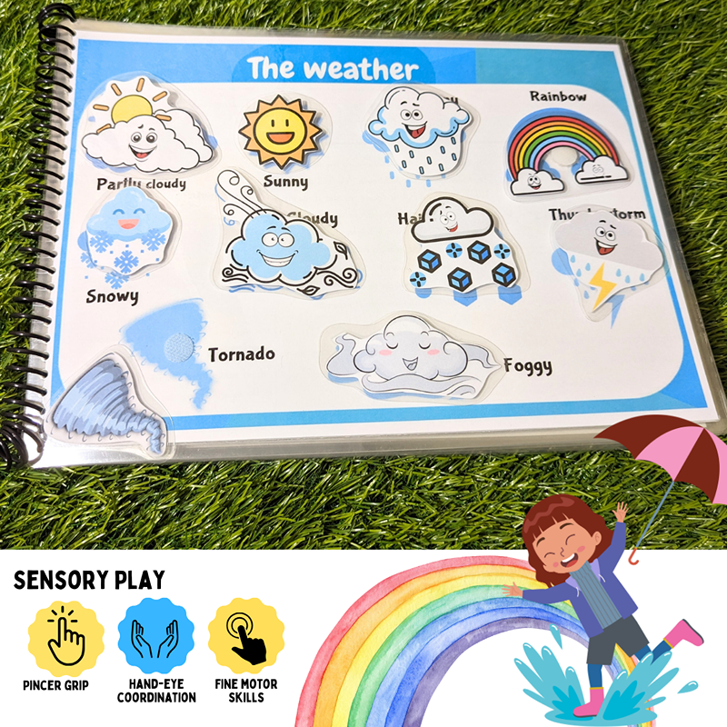 Weather And Seasons Busy Book