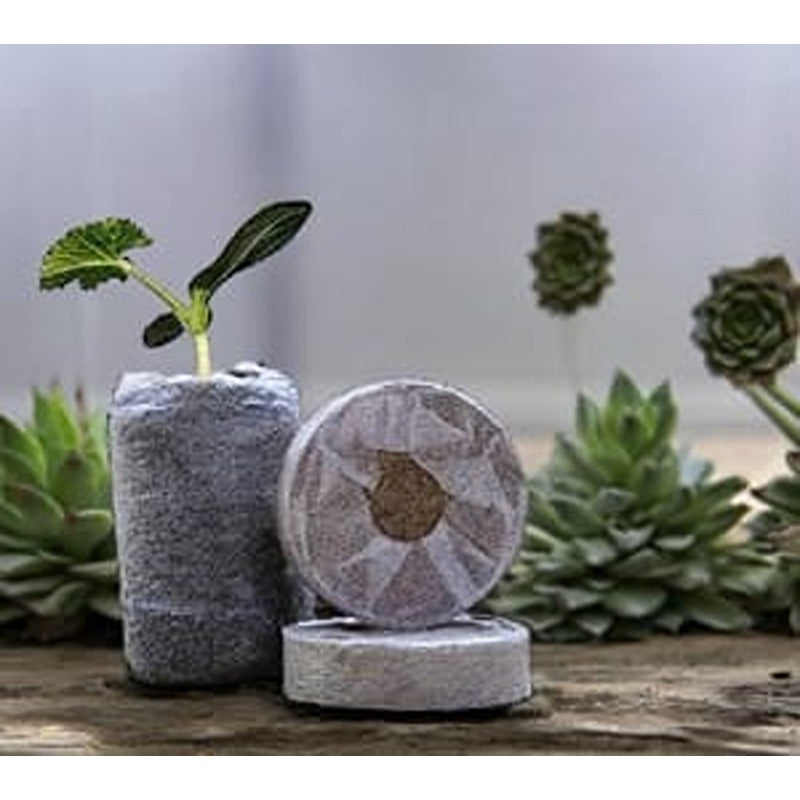 Ilearnngrow DIY Garderning Kit (6-9 Years)