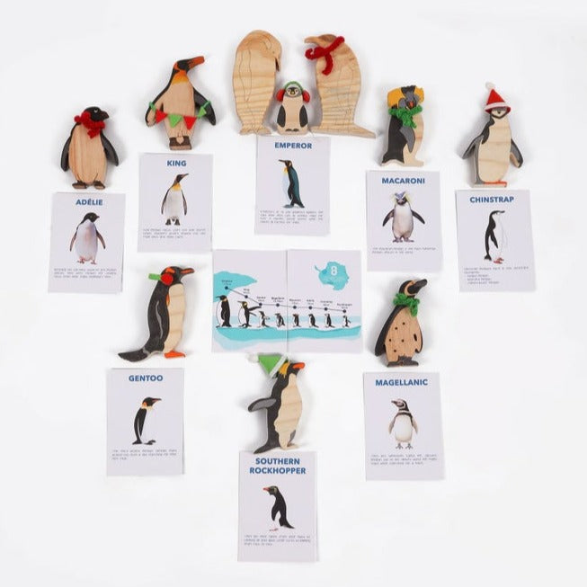 Penguins of Antarctica (Drawing and Craft Kit)