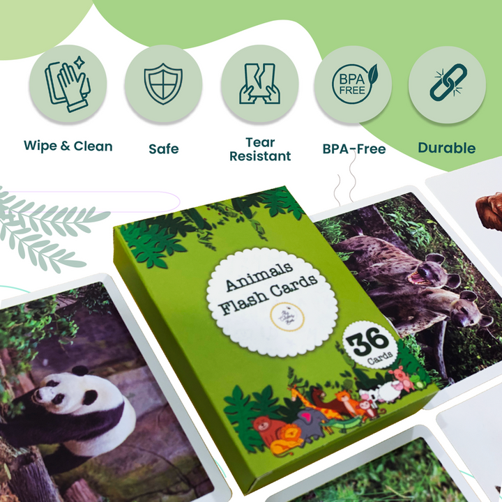 Animals Flash Cards for Kids