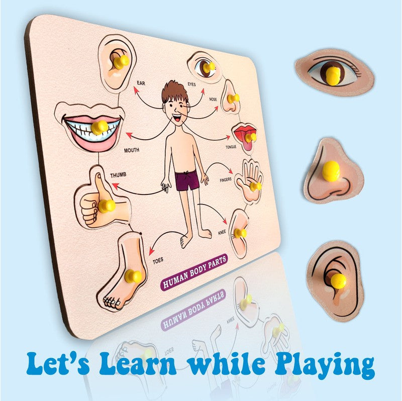 Body Parts Toddler Puzzles for Kids | Preschool Game for Learning Human Body Parts Puzzle