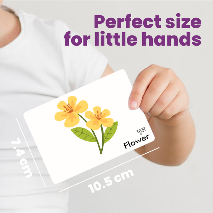 Everyday Objects Flash Cards for Kids