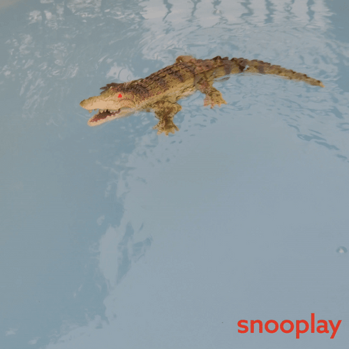 Remote Control Crocodile Toy with Glowing Eyes | Swims Only in Water (5-10 Years)