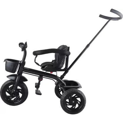 Tricycle with Dual Storage Basket, Safety Guardrail and Parental Control Push Handle (Model 549) | 2 to 5 Years