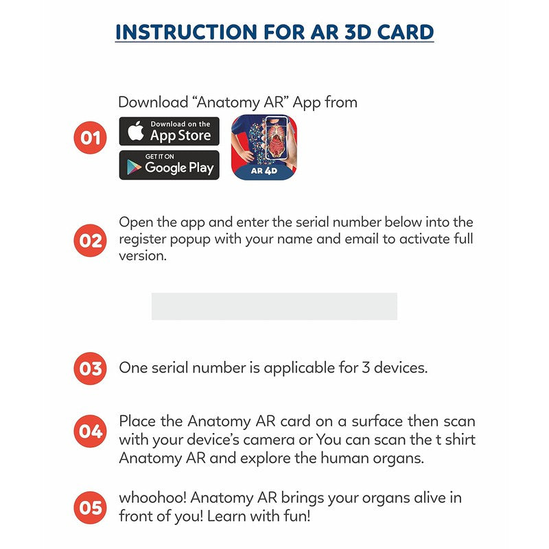 Human Organs Flash Cards