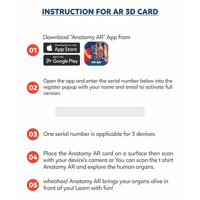 Human Organs Flash Cards