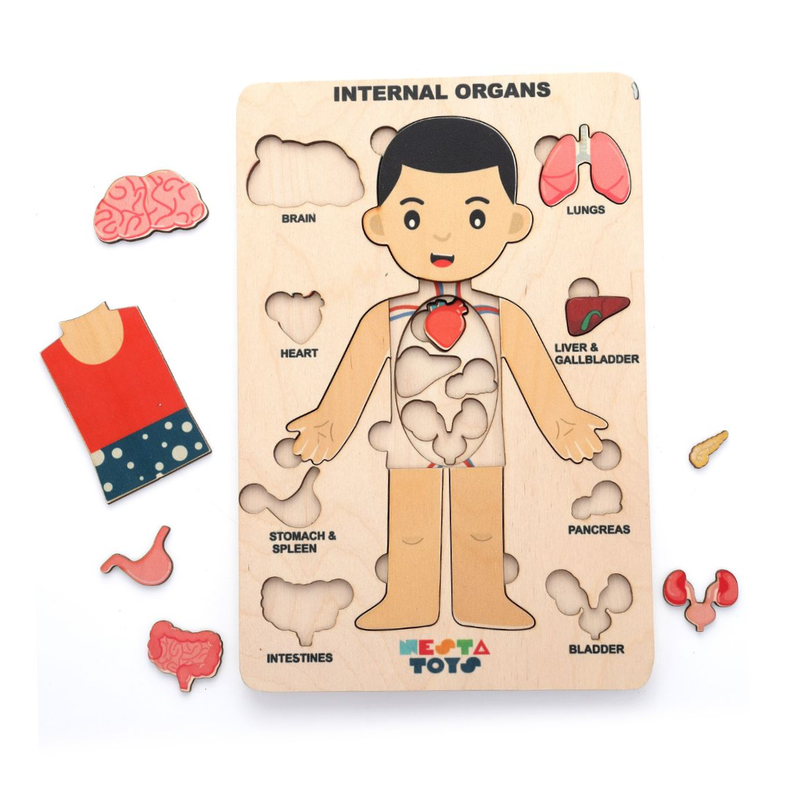 Human Body Anatomy Puzzle (14 Pcs) | Montessori Wooden Puzzle for Preschoolers and Kids Ages 3+ | Human Body Puzzle