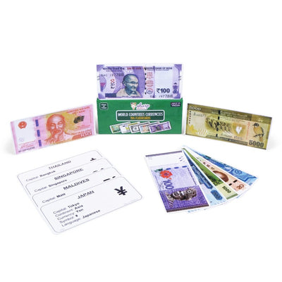 Wipe and Clean Currency Flash Cards Laminated Activity Flash Cards