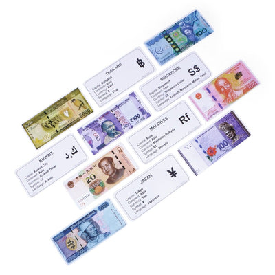 Wipe and Clean Currency Flash Cards Laminated Activity Flash Cards