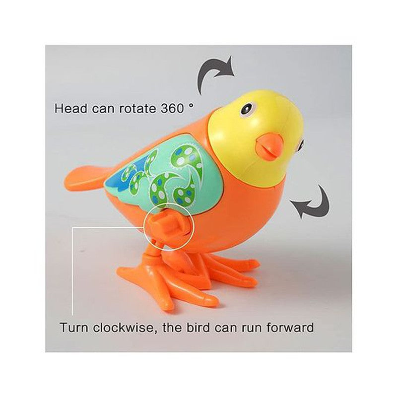 Colorful Key Wind up Bird and animal Toys for Kids Pack of 4 - (Assorted Color)