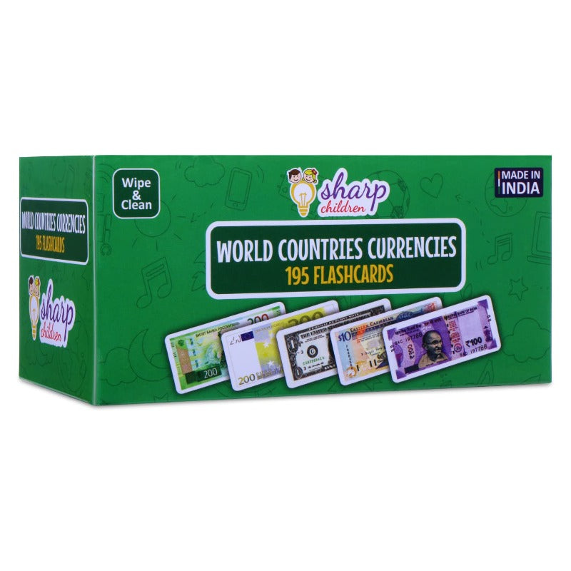 Wipe and Clean Currency Flash Cards Laminated Activity Flash Cards