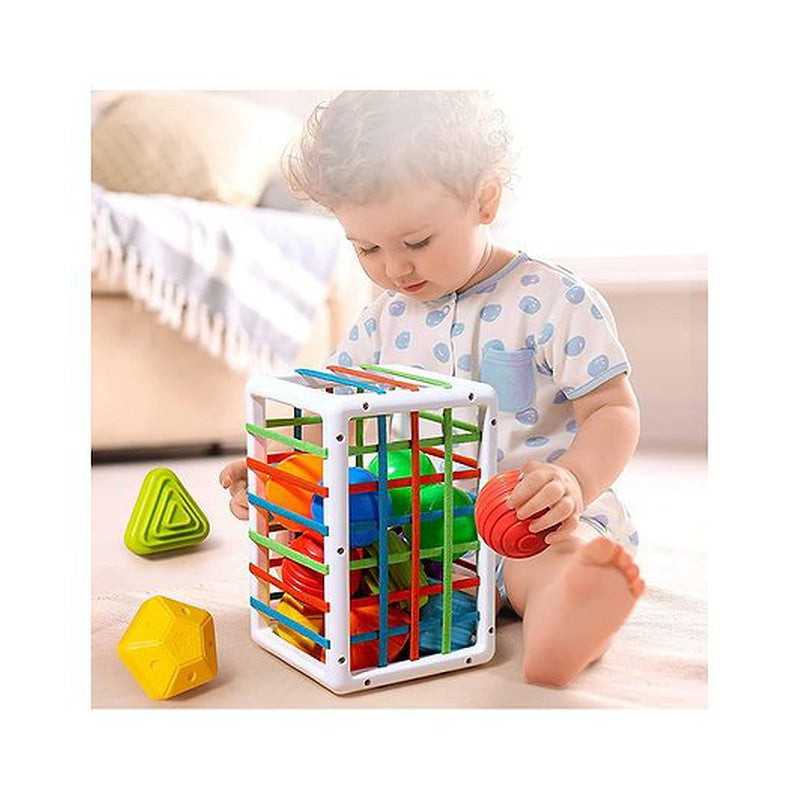 Shape Sorter Montessori Educational Toys for baby With Blocks- Multicolor  (1-2 Years)