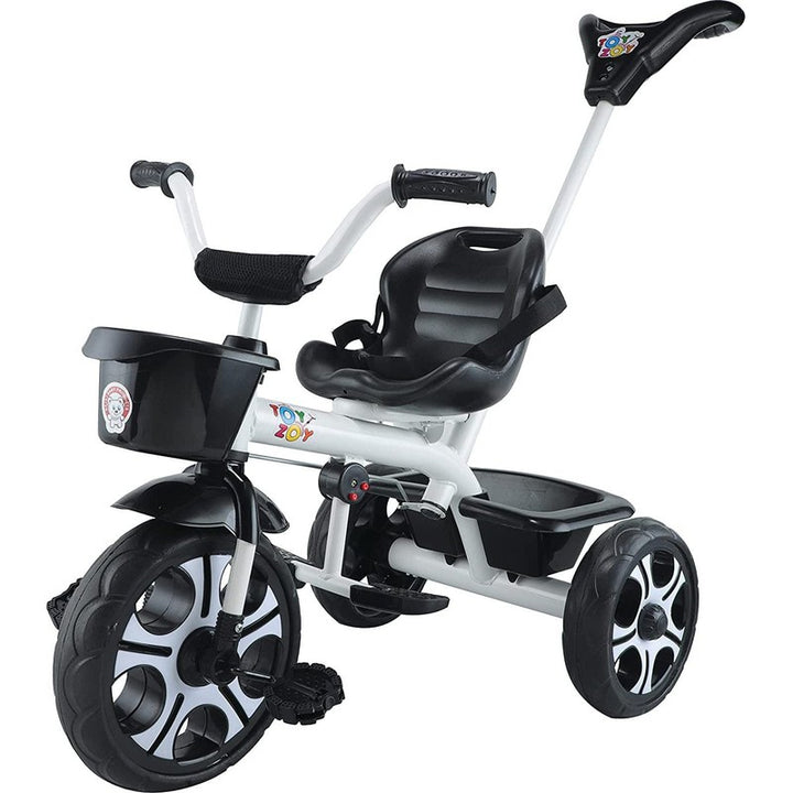 Tricycle with Dual Storage Basket and Parental Handle (Model 538) | 2 to 5 Years