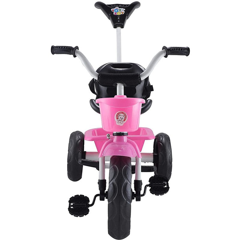 Tricycle with Dual Storage Basket and Parental Handle (Model 538) | 2 to 5 Years