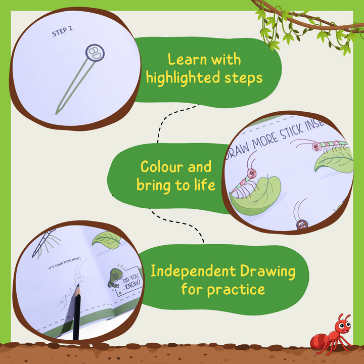 Step by Step Drawing Book - Incredible Insects Theme (2-5 Years)