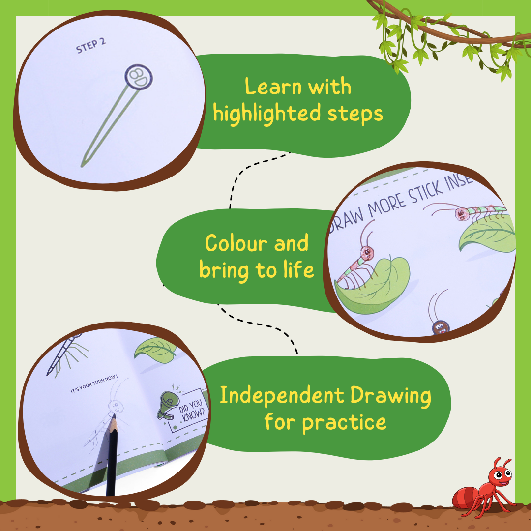 Step by Step Drawing Book - Incredible Insects Theme