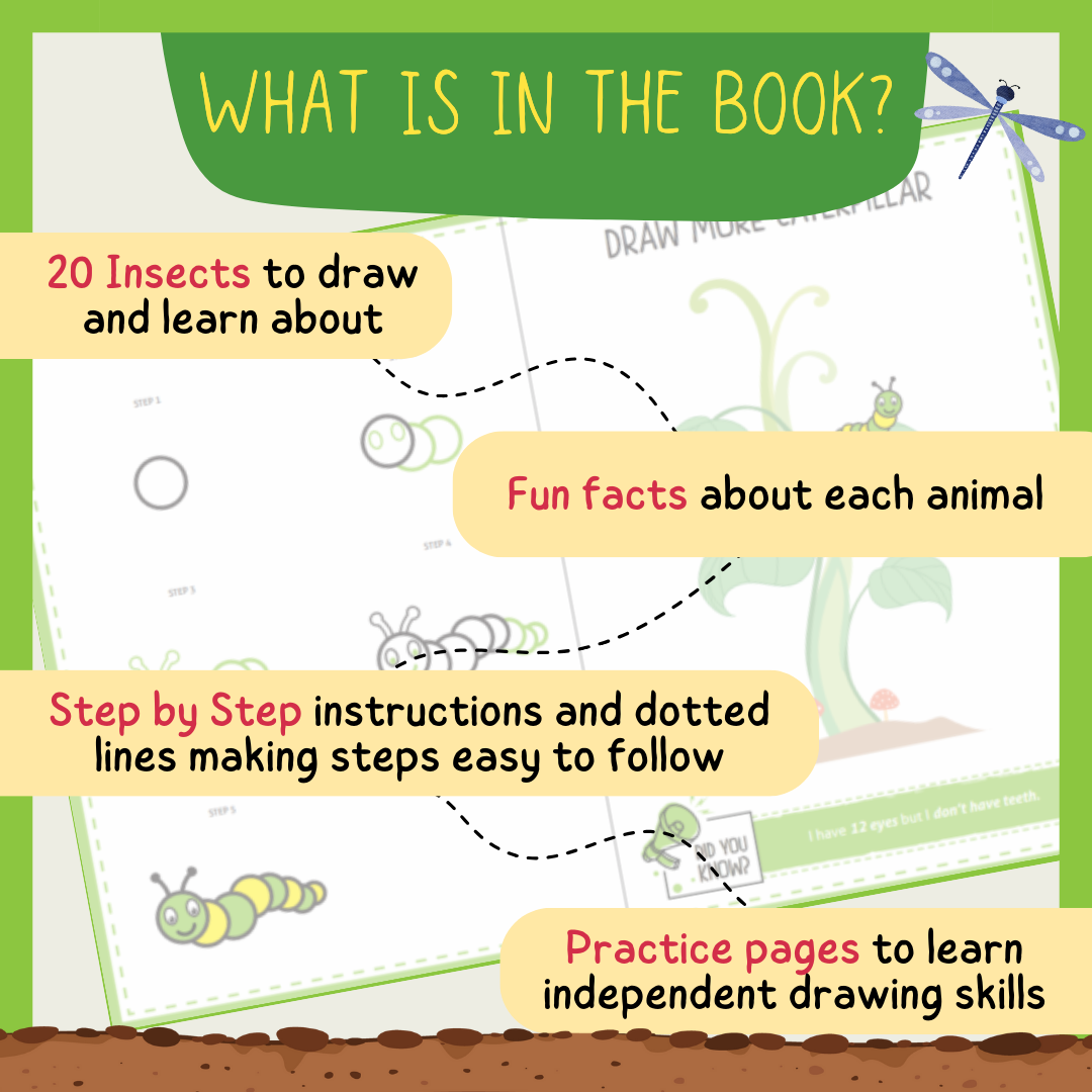 Step by Step Drawing Book - Incredible Insects Theme (2-5 Years)