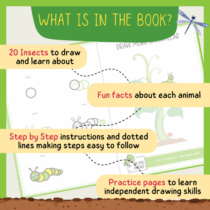 Step by Step Drawing Book - Incredible Insects Theme