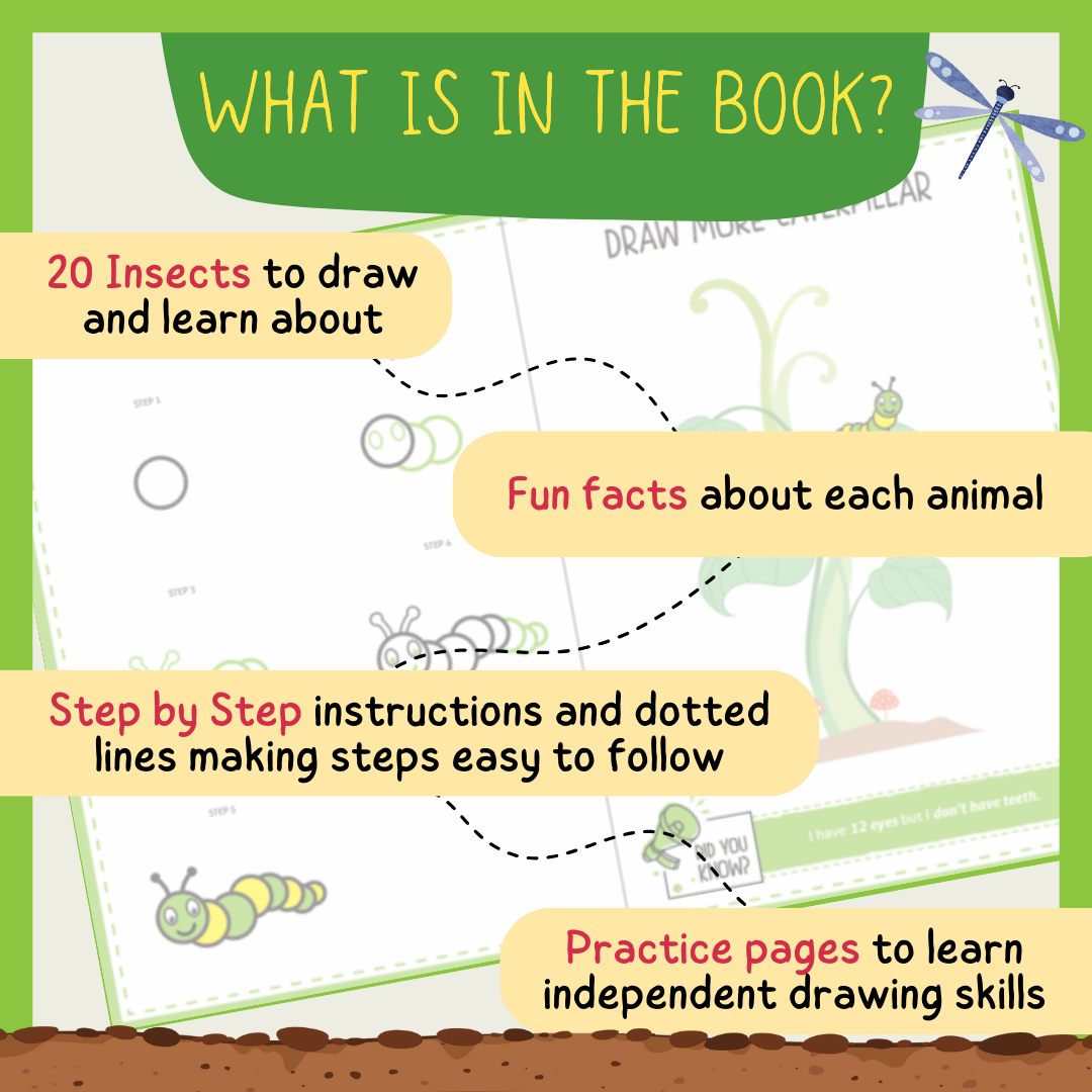 Step by Step Drawing Book - Incredible Insects Theme