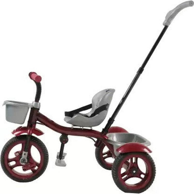 Tricycle with Dual Storage Basket and Parental Push Handle (New Model_592) | 2 to 5 Years