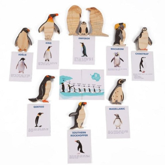 Penguins of Antarctica (Drawing and Craft Kit)