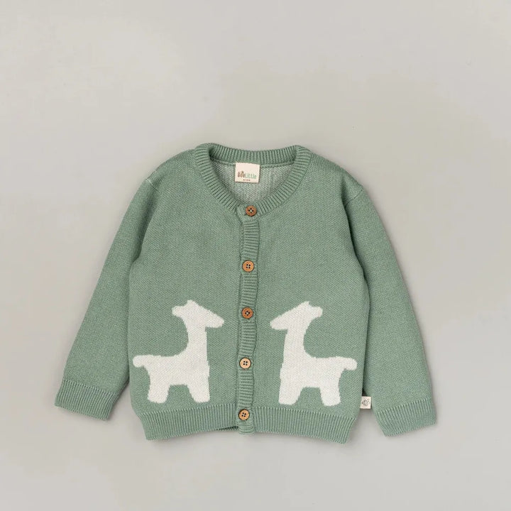 Beelittle Green Giffy Organic Cotton Sweater
