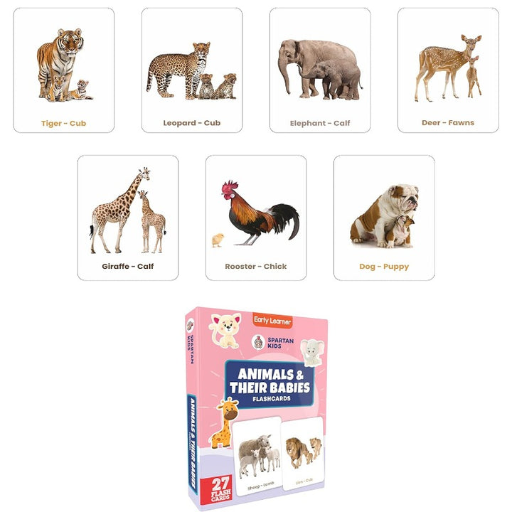 Flash Cards for Kids (Set of 20) 6 to 12 Months & 3 - 6 years (Combo Set)