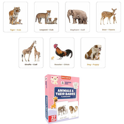 Flash Cards for Kids (Set of 20) 6 to 12 Months & 3 - 6 years (Combo Set)