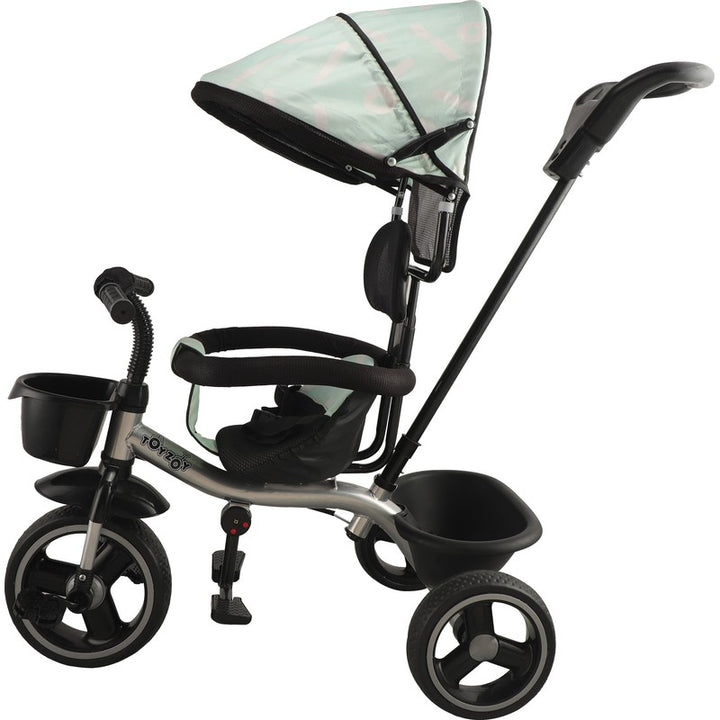 Tricycle with Canopy Dual Storage Basket, Parental Handle, Guardrail comfort seat (Model_572) | 2-5 Years (Black)