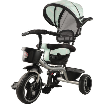 Tricycle with Canopy Dual Storage Basket, Parental Handle, Guardrail comfort seat (Model_572) | 2-5 Years (Black)