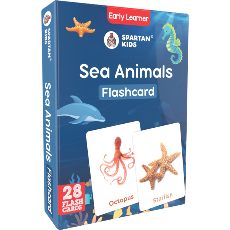 Sea Animals Flash Cards (27 Early Learning Flash Cards For Kids)