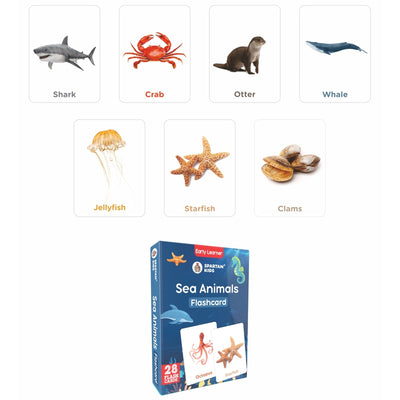 Sea Animals Flash Cards (27 Early Learning Flash Cards For Kids)