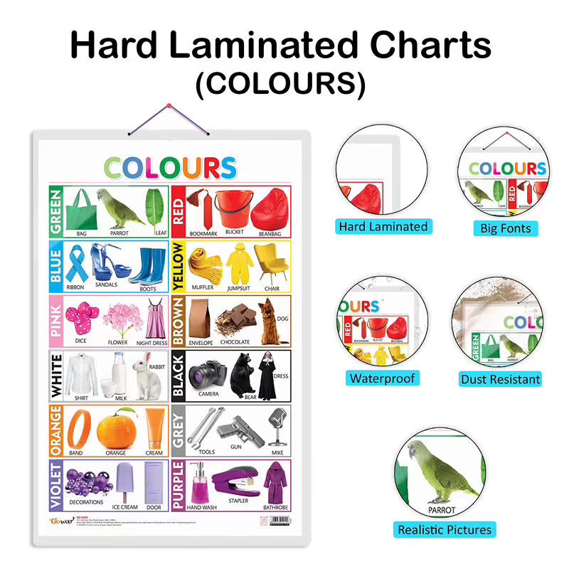 Domestic Animals and Pets, Wild Animals and Colours Early Learning Educational Charts - Set of 3
