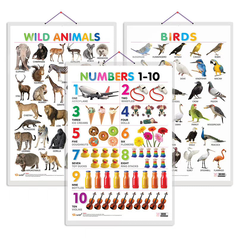 Wild Animals, Birds and Numbers 1-10 Early Learning Educational Charts - Set of 3