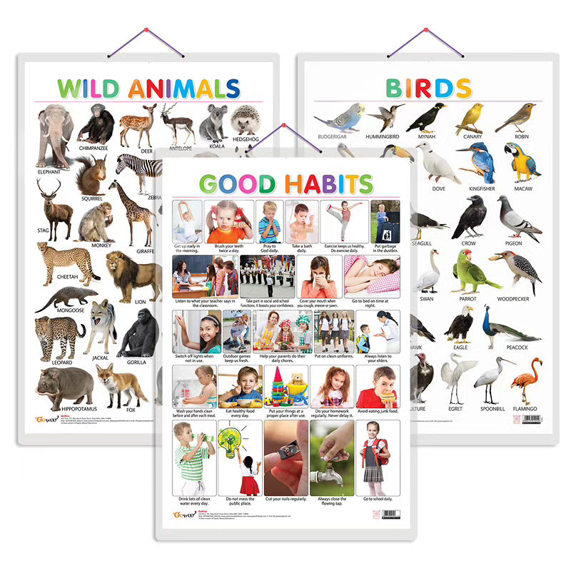 Wild Animals, Birds and Good Habits Early Learning Educational Charts - Set of 3