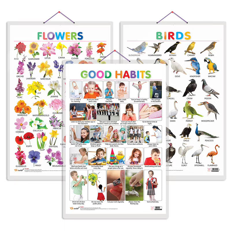 Birds, Flowers and Good Habits Early Learning Educational Charts -  Set of 3